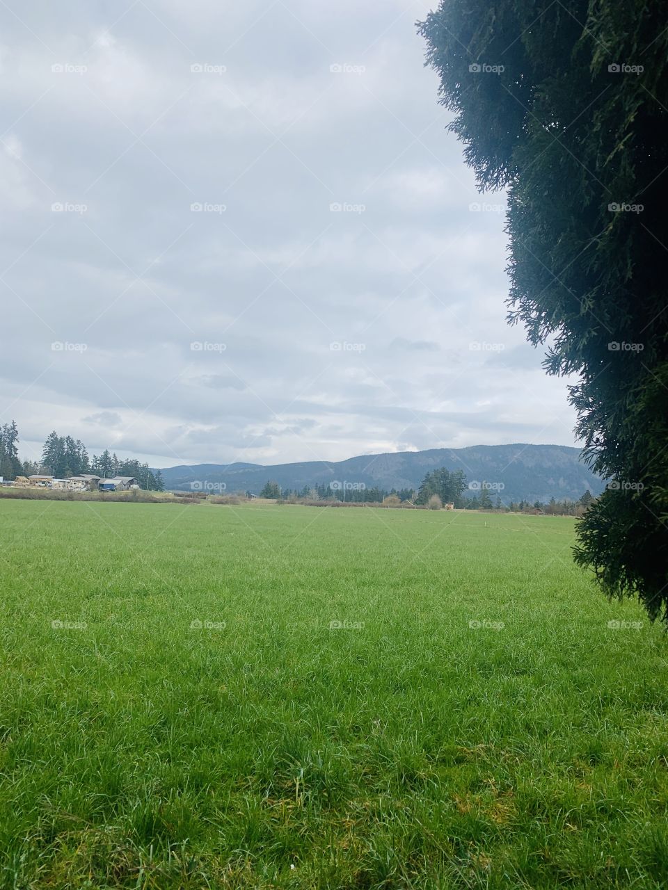 Large field with mountains in the backround 