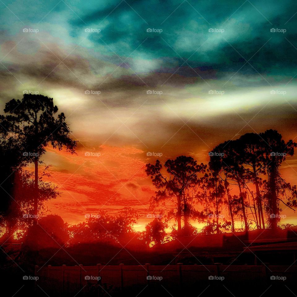 Complimentary colors dazzle in the setting sun.