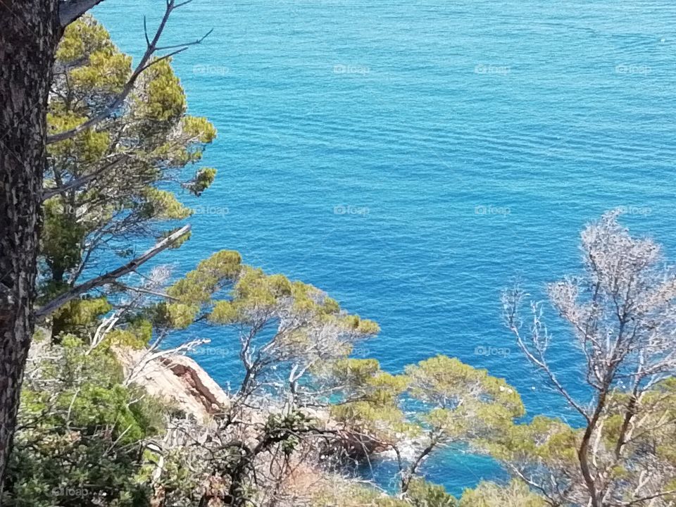Tossa de mar