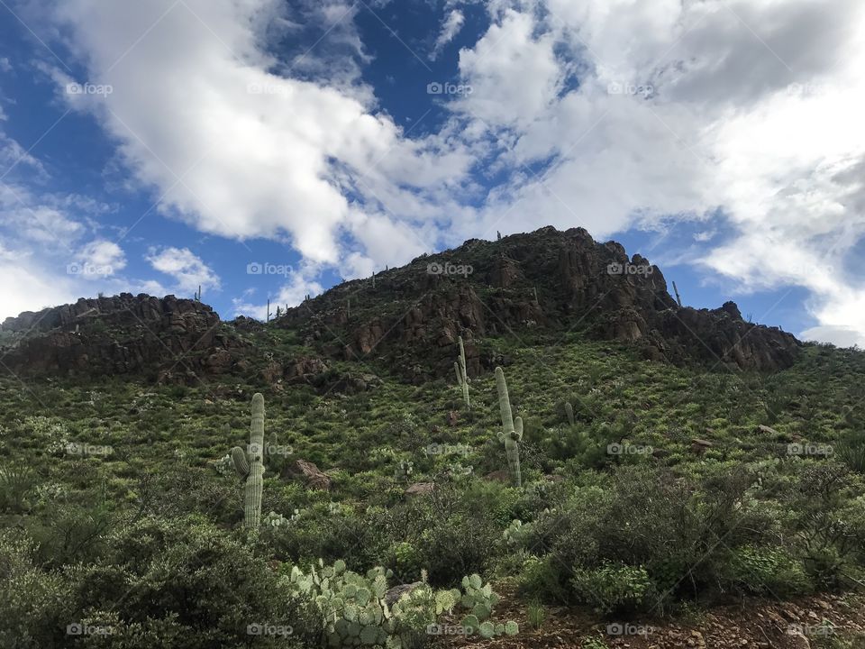 Landmarks - Mountain Landscape in - Tucson, Arizona 