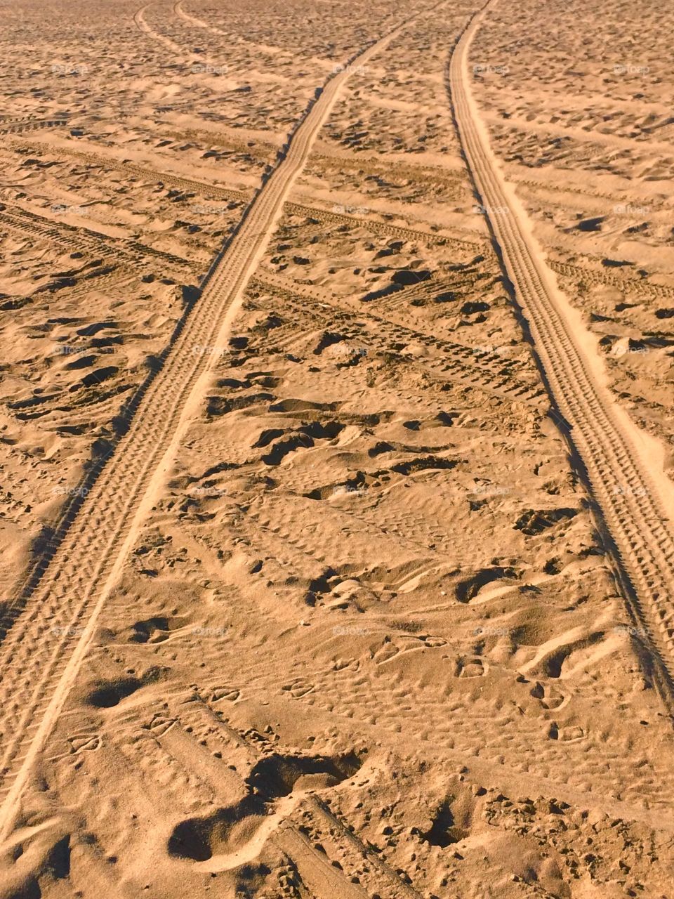 Tyre tracks on the sand