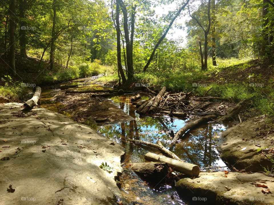 Water, Wood, Nature, River, Landscape