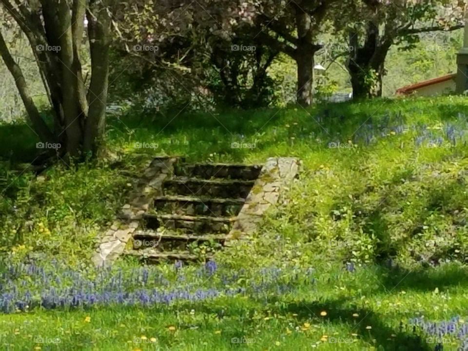 Driving the Back Roads and enjoying everything around us