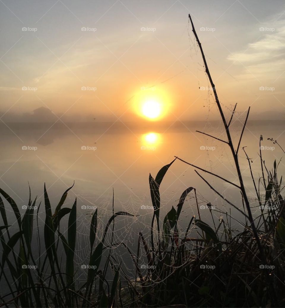 Fishing reflections 