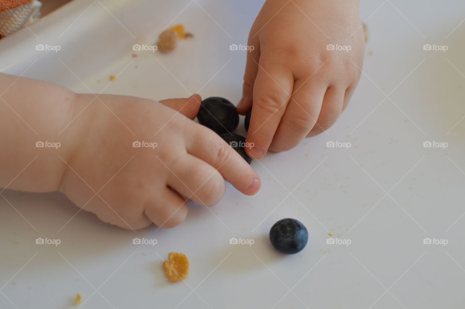 little hands taking blueberries