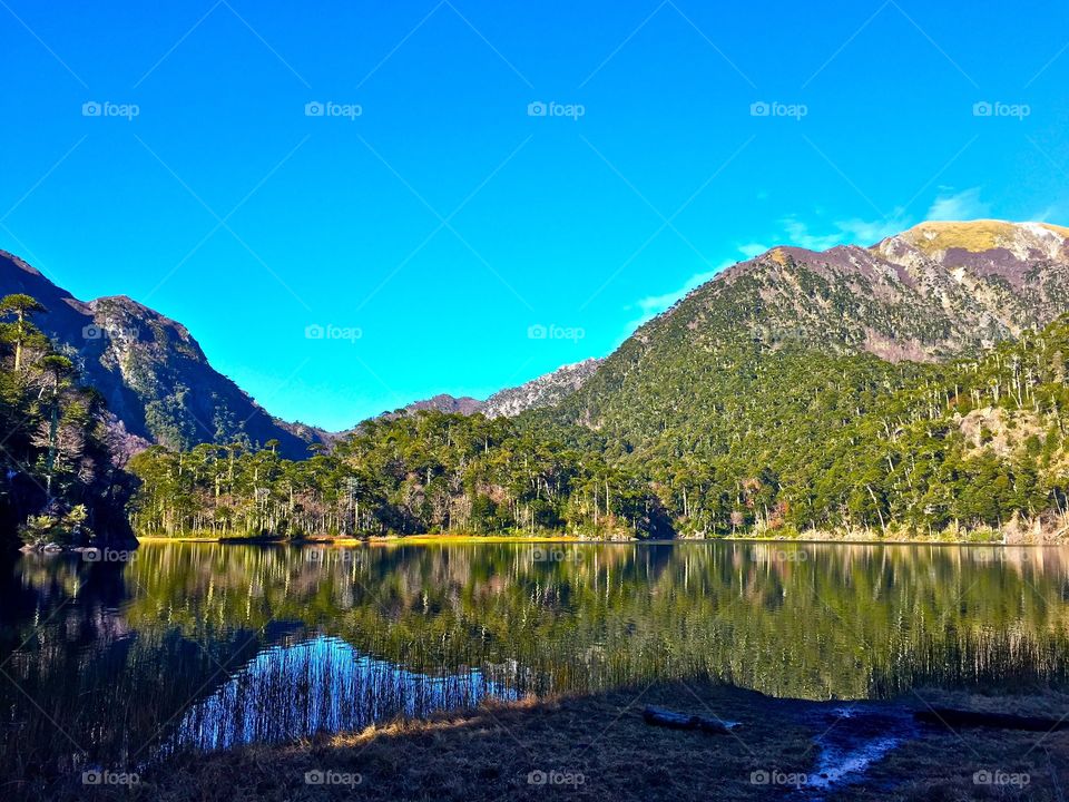 Hiking in southern Chile 