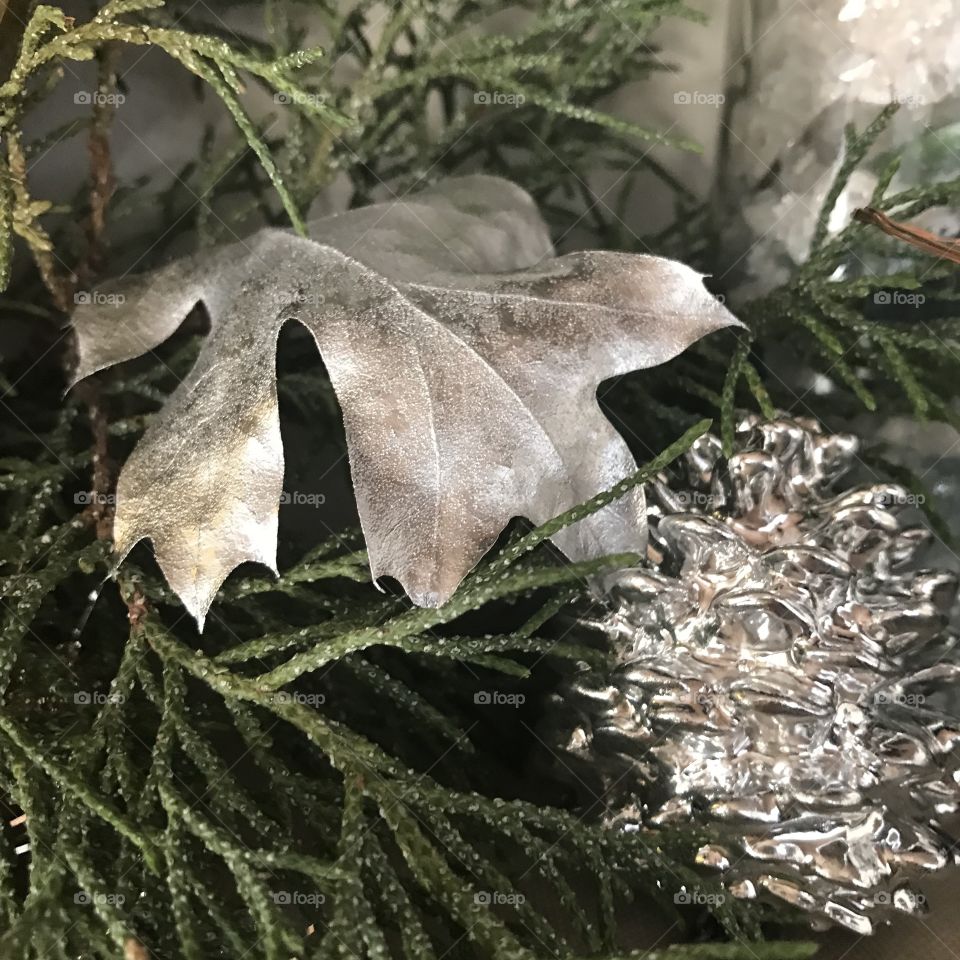 Silver Leaf and Pine Cone