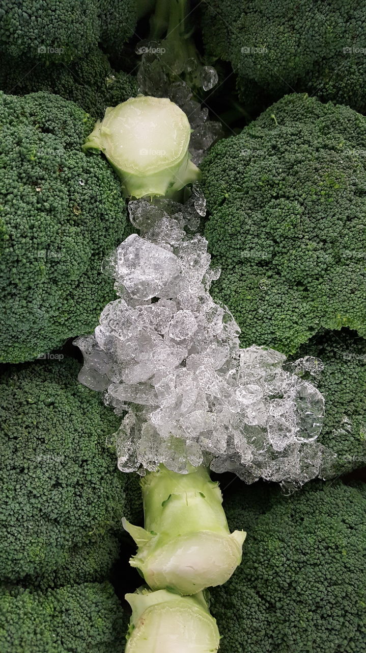 Fresh broccoli