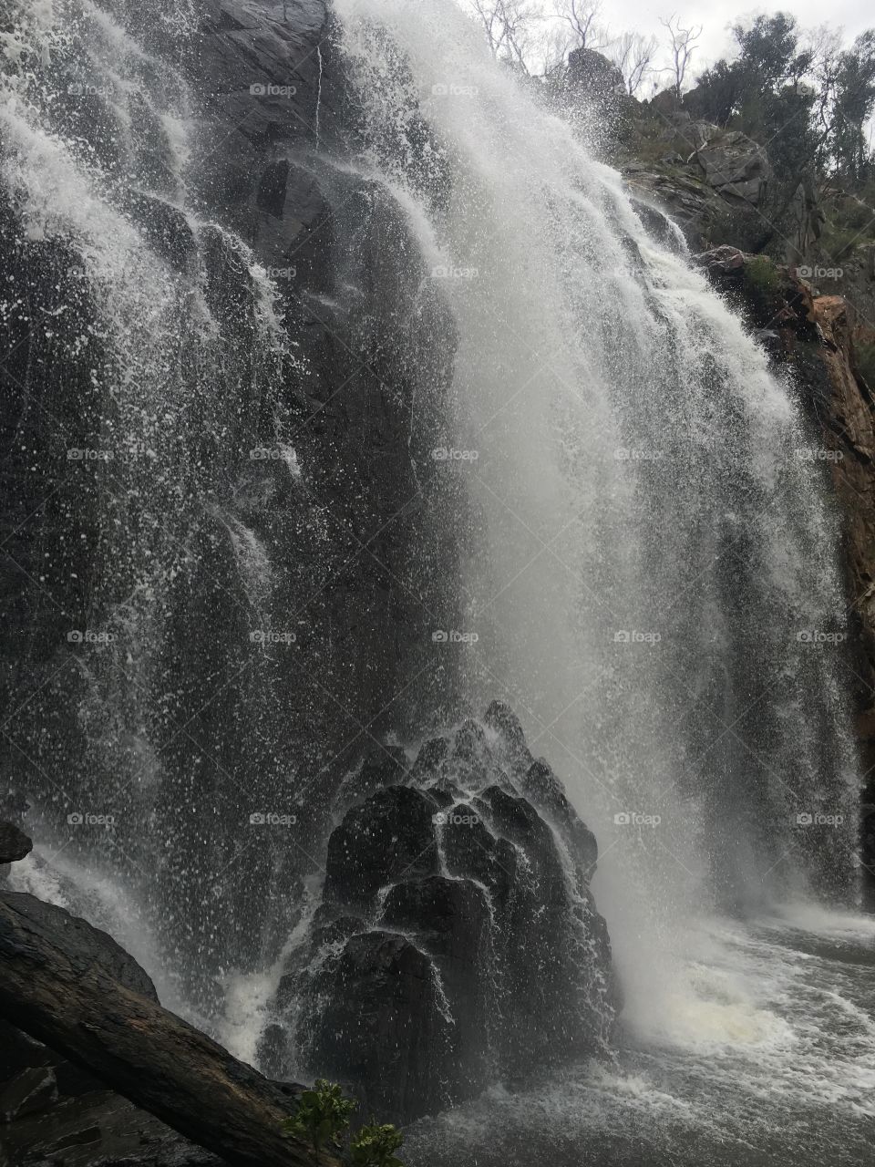 McKenzie Falls 