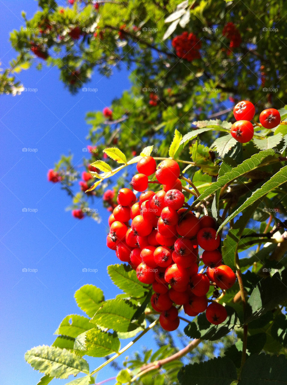 sky green blue red by emmam