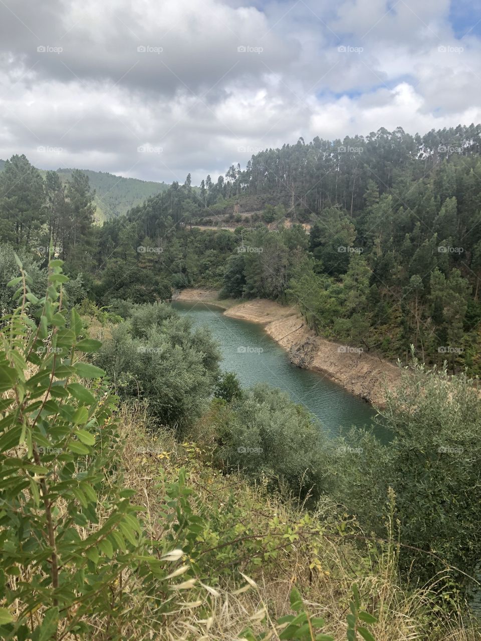 Part of the River Zêzere flowing through green and lush surroundings - no edits, no filters