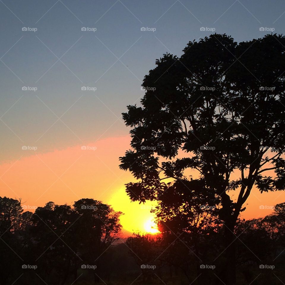 Uma imagem do amanhecer - 📸 #Desestressando em #clicks!, pois #fotografia é nosso #hobby!
#️⃣ 
#sol #sun #sky #céu #natureza #horizonte #paisagem #inspiração #mobgrafia #XôStress