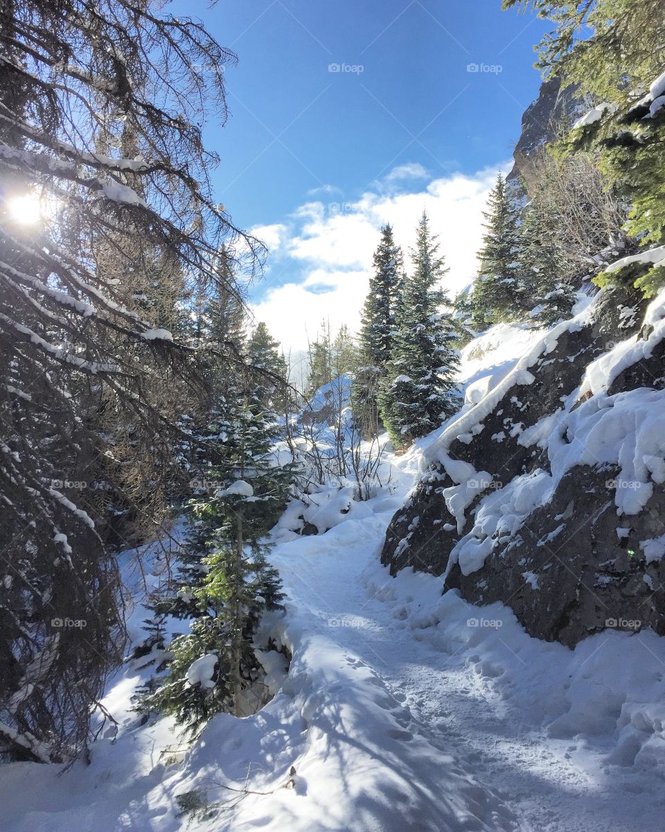 Snowy Hiking Trail Rmnp 