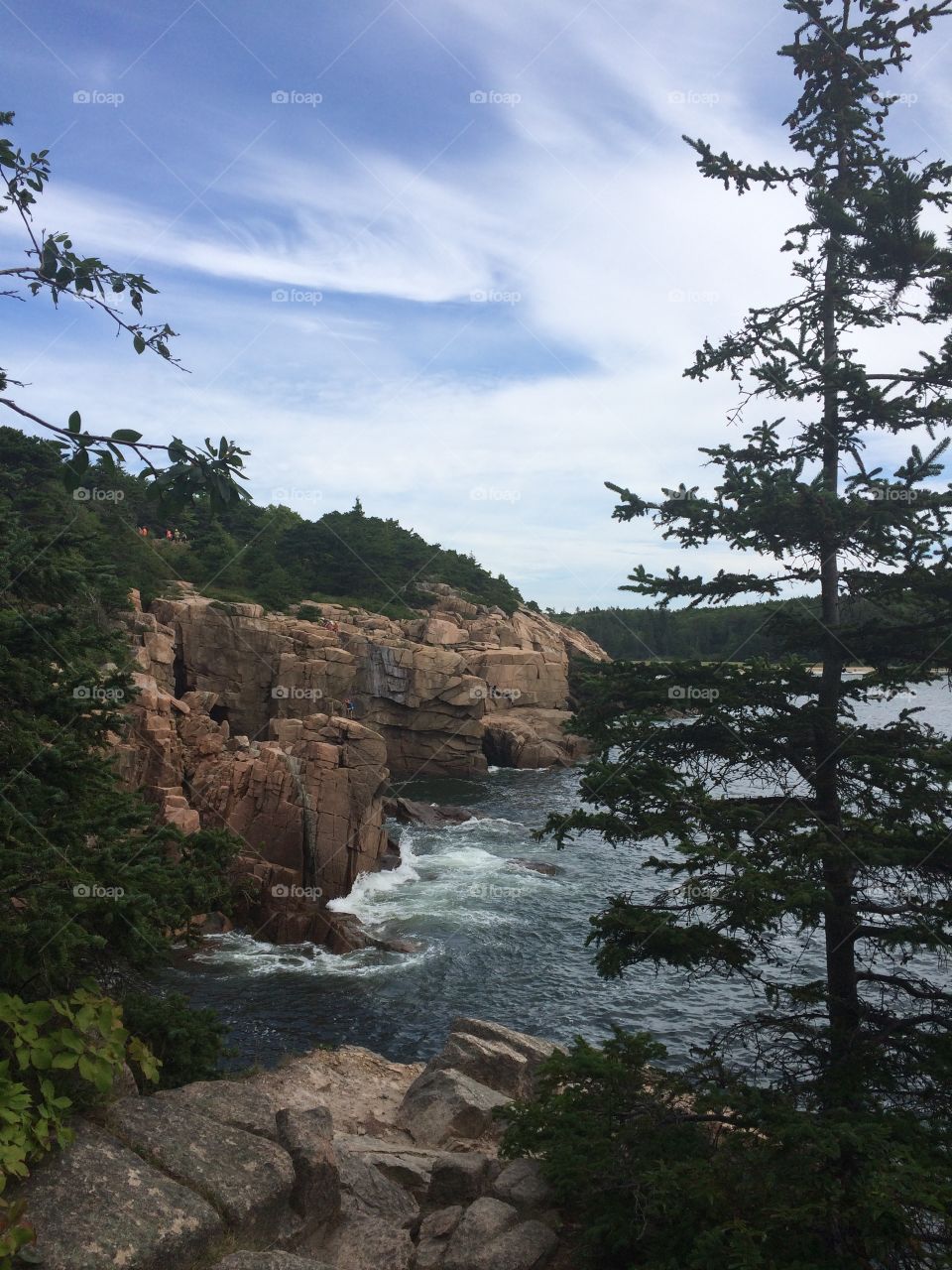 Postcard Acadia 
