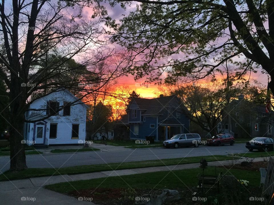 Sunset in the back yard 