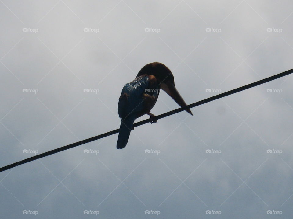 The Glorious Of Mother