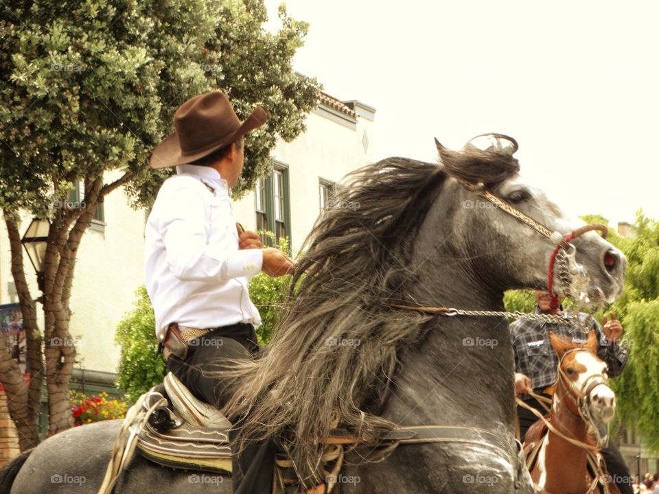 Cowboy Riding A Black Stallion
