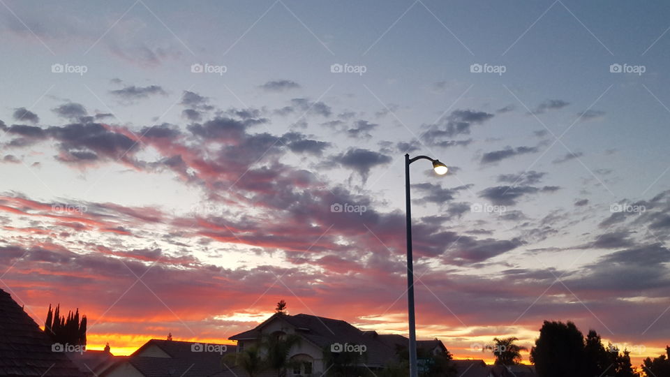 Grateful to be alive