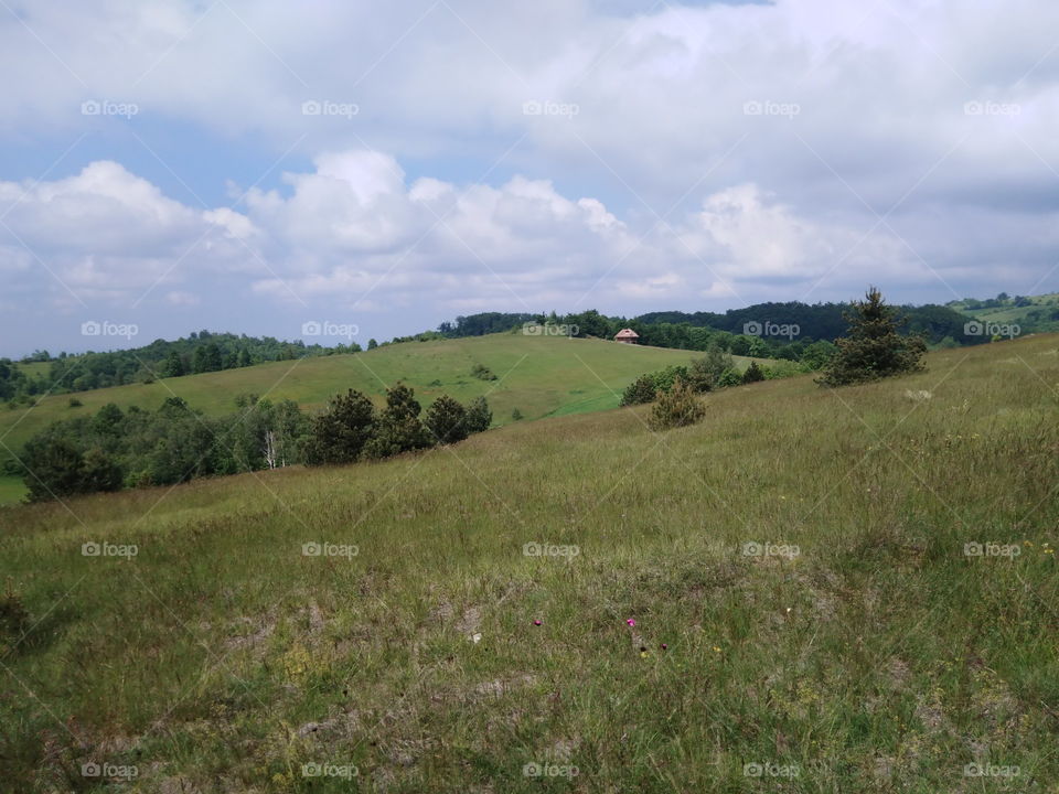 pasture on elevations