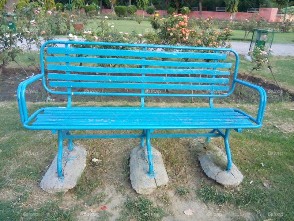 sitting bench in a garden