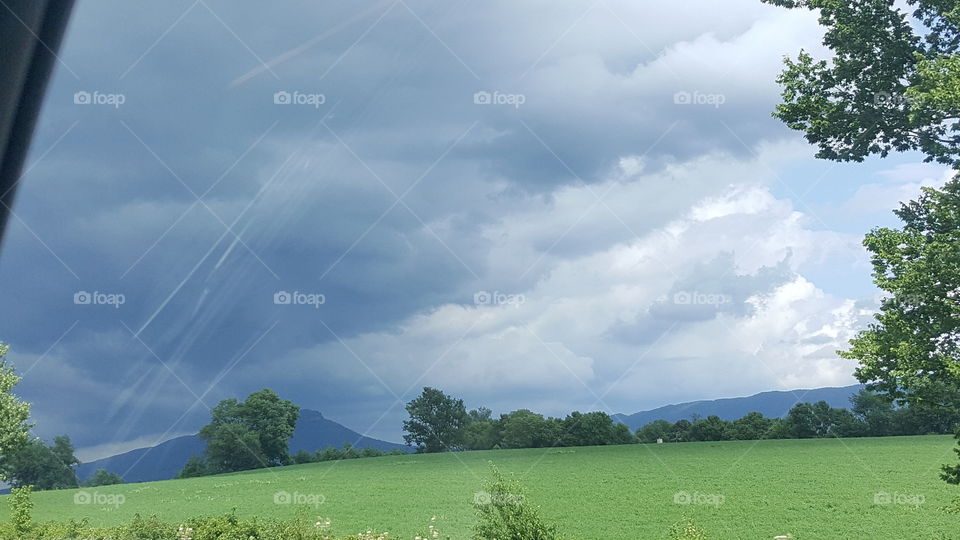green grass and a cloudy sky