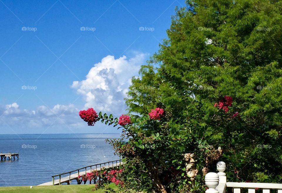View of Mobile Bay from Montrose Alabama