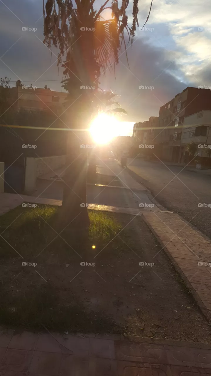 sunset