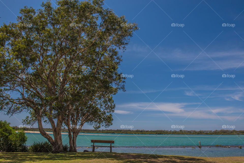 Empty bench near lakeside