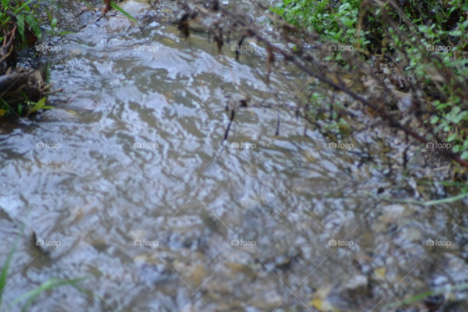 Water, Nature, Desktop, River, Environment
