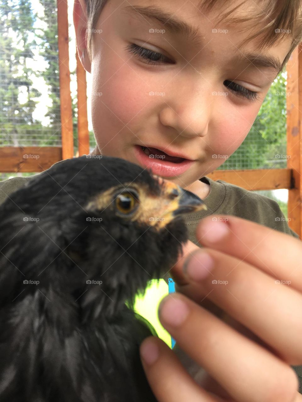 Chicken whisperer 