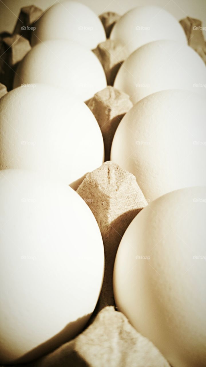 Eggs