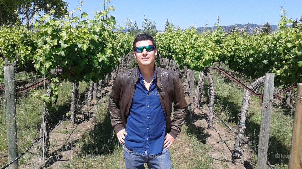 Smiling handsome man stands among vineyards on a sunny day in Napa, California. 