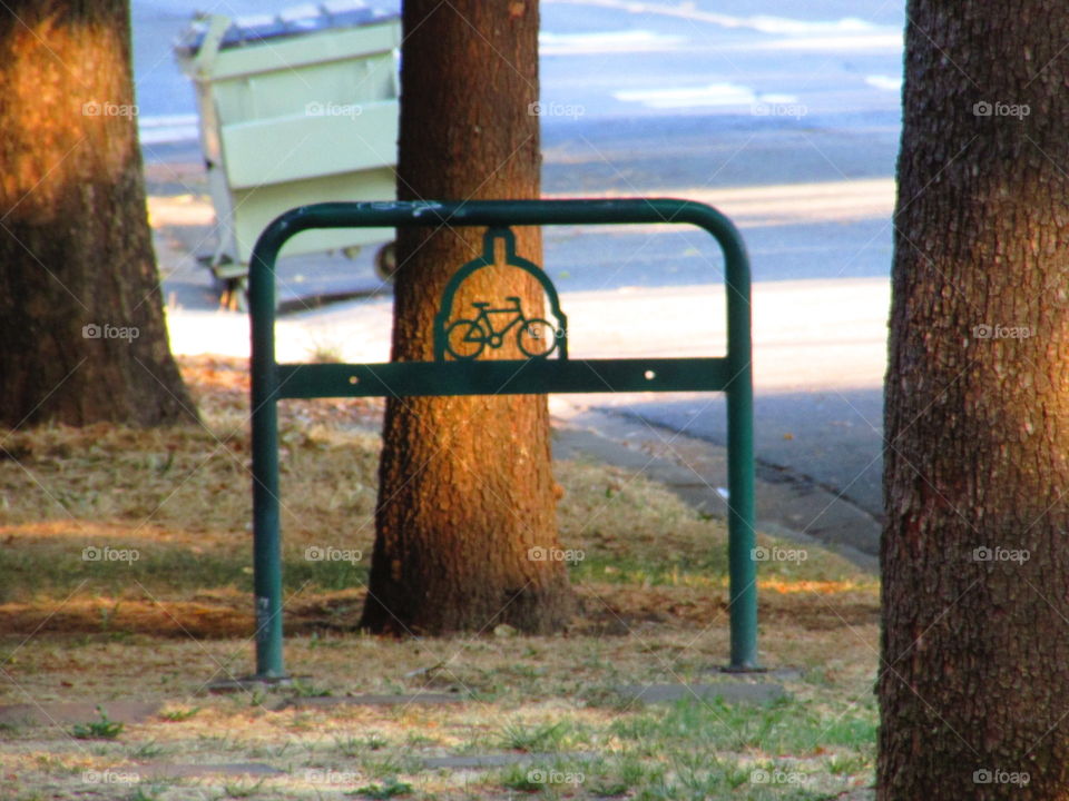 No Person, Nature, Outdoors, Wood, Summer