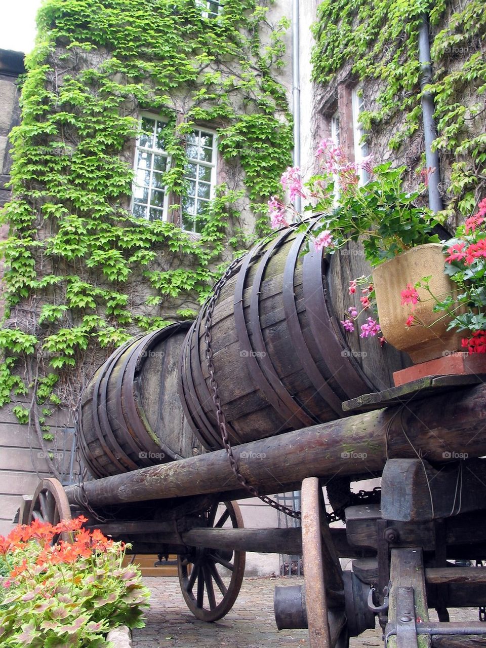Wine barrels 