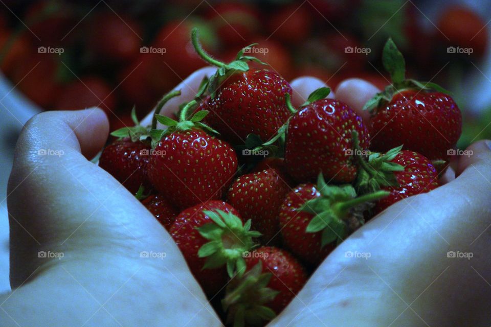 A berry big handful of berries