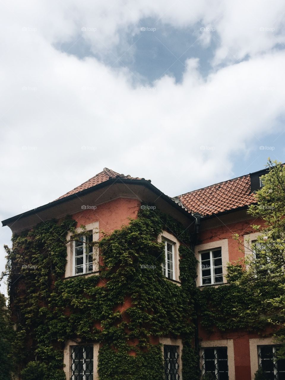 Building covered in leafes