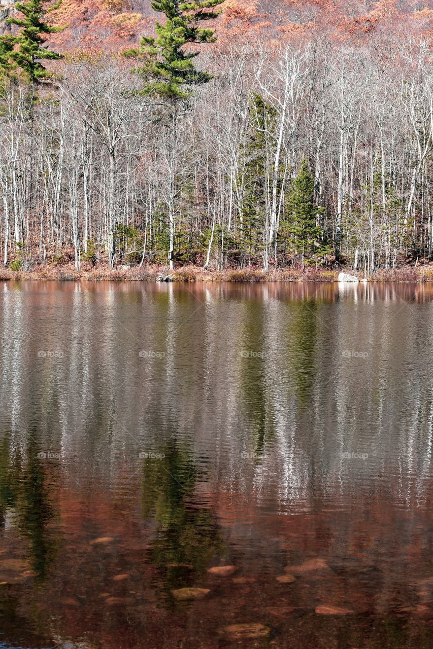 Self reflection | Things might not always be similar when you look in the mirror. Know that you know yourself better than anything else