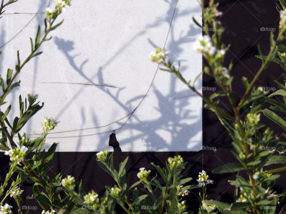 Close-up of flowers by sign in Berlin, Germany.