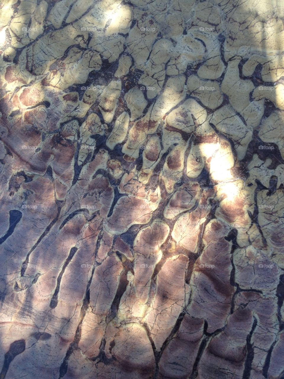 Stone Surface Pattern