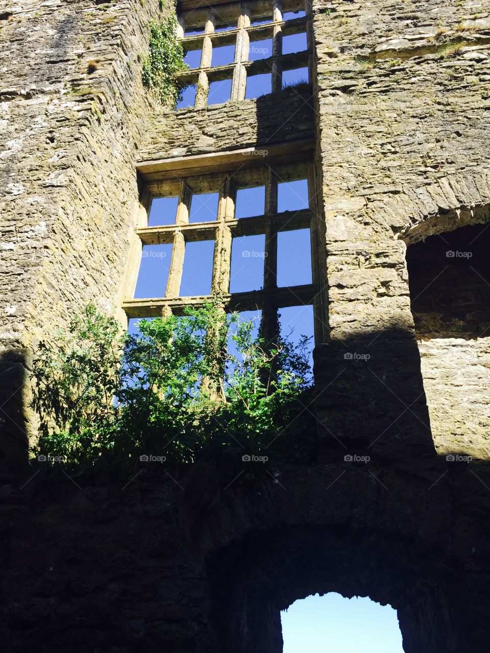 Castle Window 