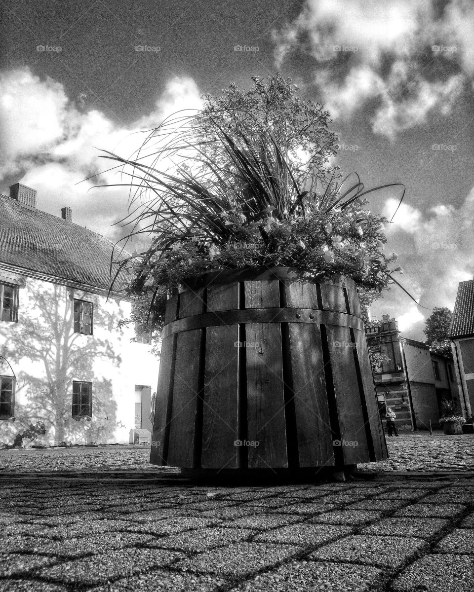 "The most colorful thing in the world is black and white, it contains all colors and at the same time excludes all."
~ Vikrmn, 10 Alone