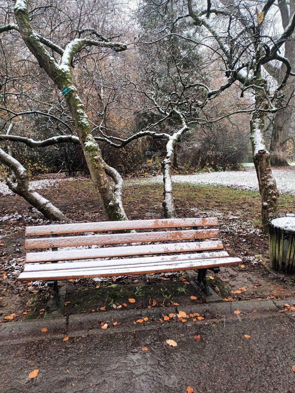 Parc de Mariemont , La Louviere
