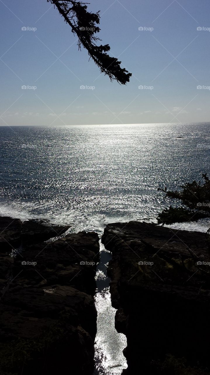 Cape Arago Viewing Area