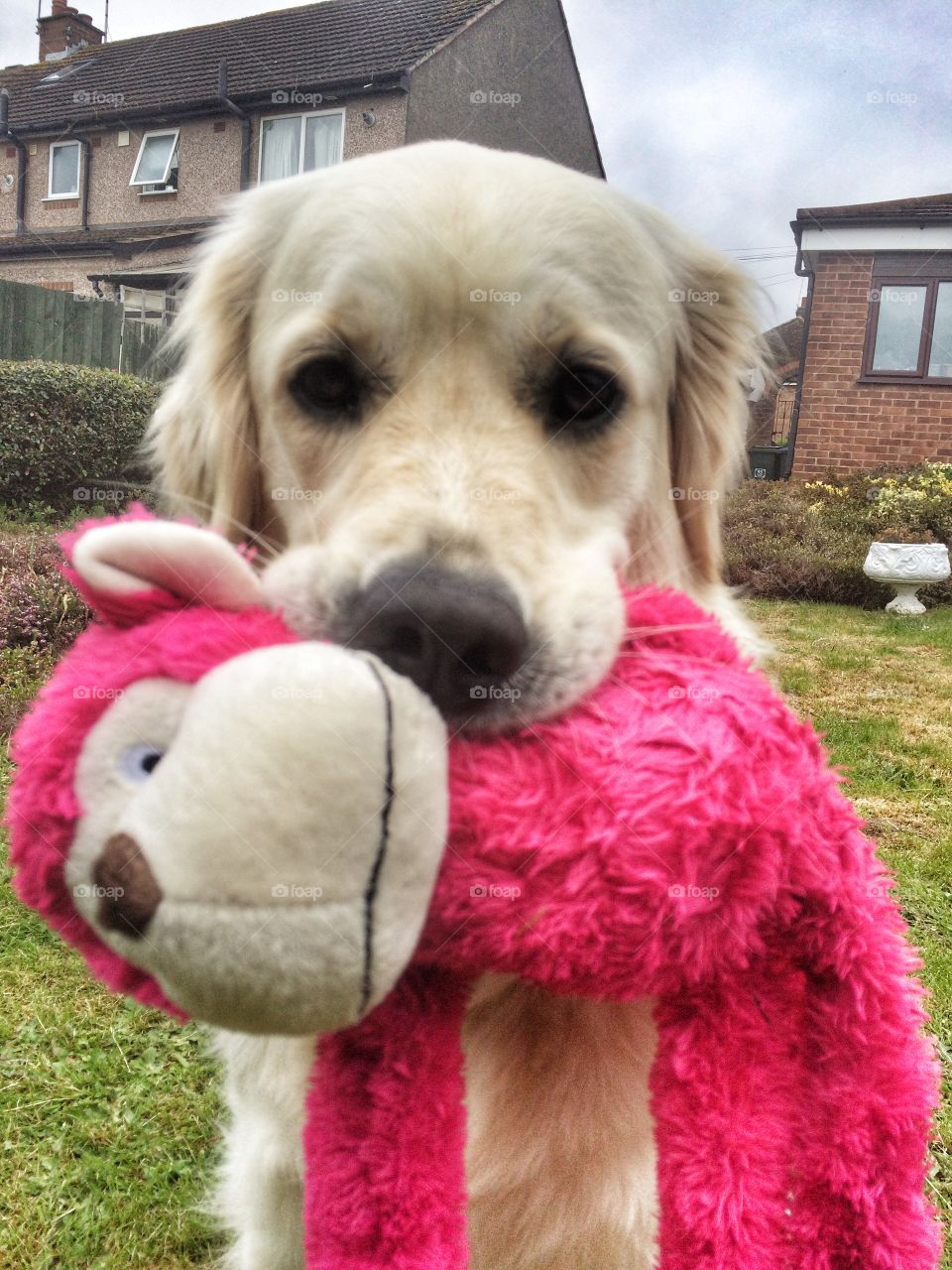 Zoe loves her pink monkey 