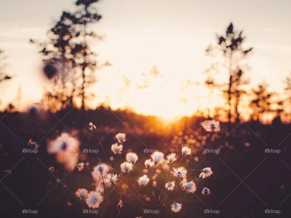 закат солнца