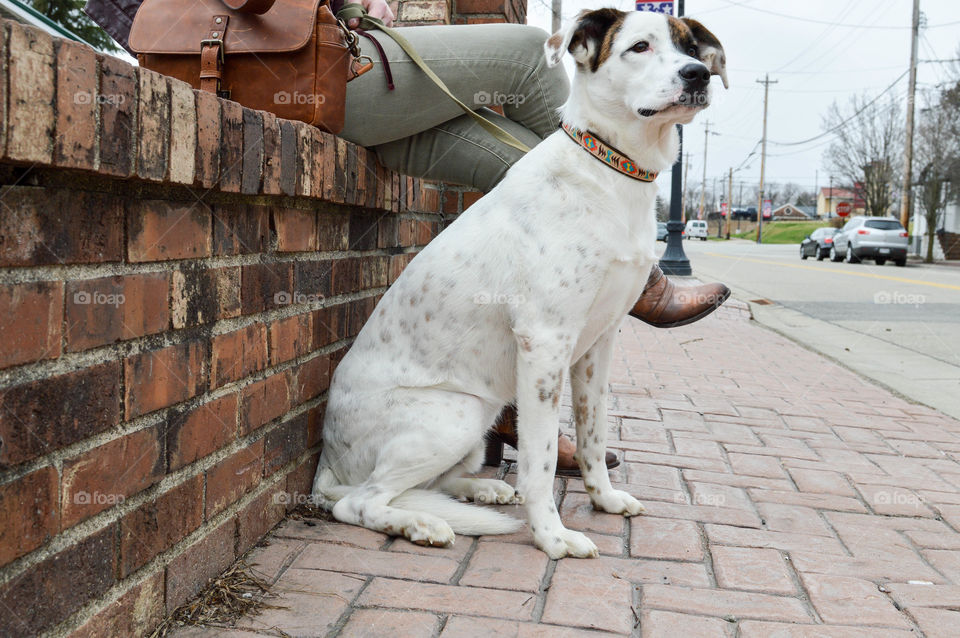 Woman sitting with her mixed breed dog on a leash in an urban setting