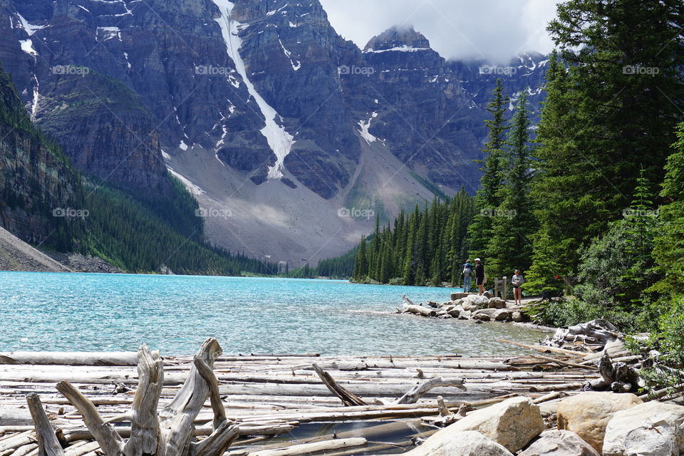 Felled logs collecting at the edge of a Lake against a background of mountain, forest and sky 