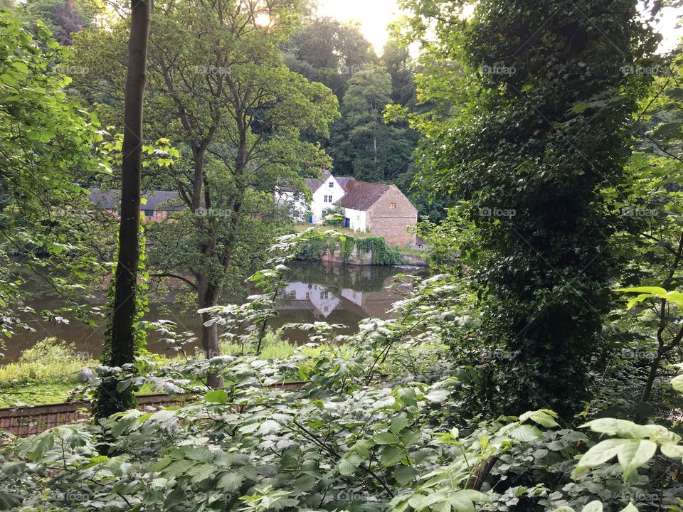 Beautiful English countryside 