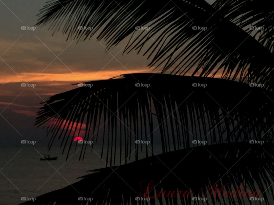 Sunrise at Ocean Ridge, FL