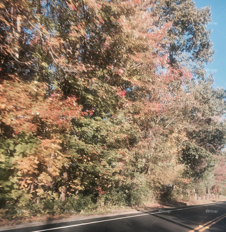 Fall 